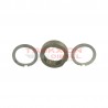 Conjunto anillo de levas y placas Delphi 7174-067FX